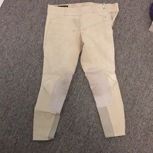 Ariat schooling breeches